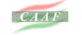 caaf140.jpg (2874 byte)